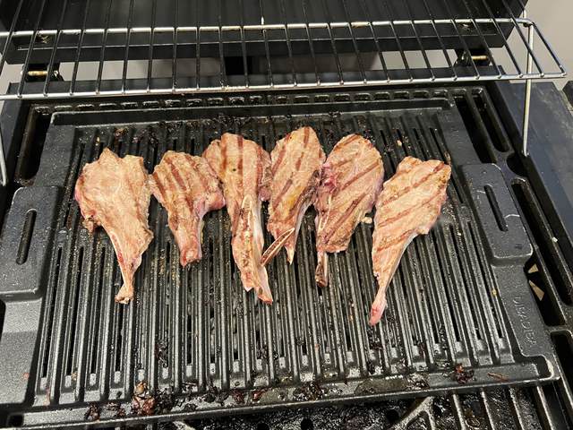 NEW students BBQ — photo 9