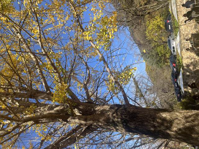 Tupa Fall Picnic — photo 9